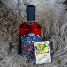 Load image into Gallery viewer, Nidhoggr Mead x Nightquest Official Card with a bottle of mead!
